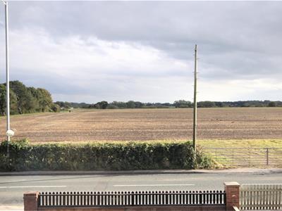 Picture 23